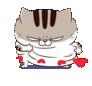 1715392761694.gif