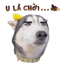 1718002152819.png
