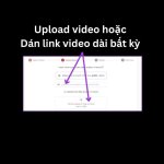 IMG_1895.jpeg