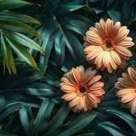 Gladys Rolfson