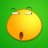 Avis Feil DDS